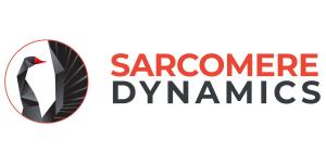 Sarcomere Dynamics