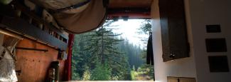 Photo out of the back of a van looking into the wilderness