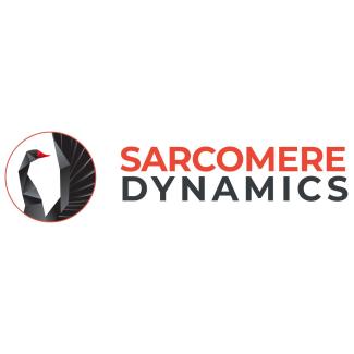 Sarcomere Dynamics