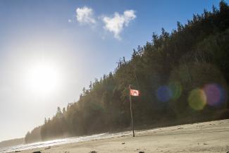 Canadian Beach with forest in background